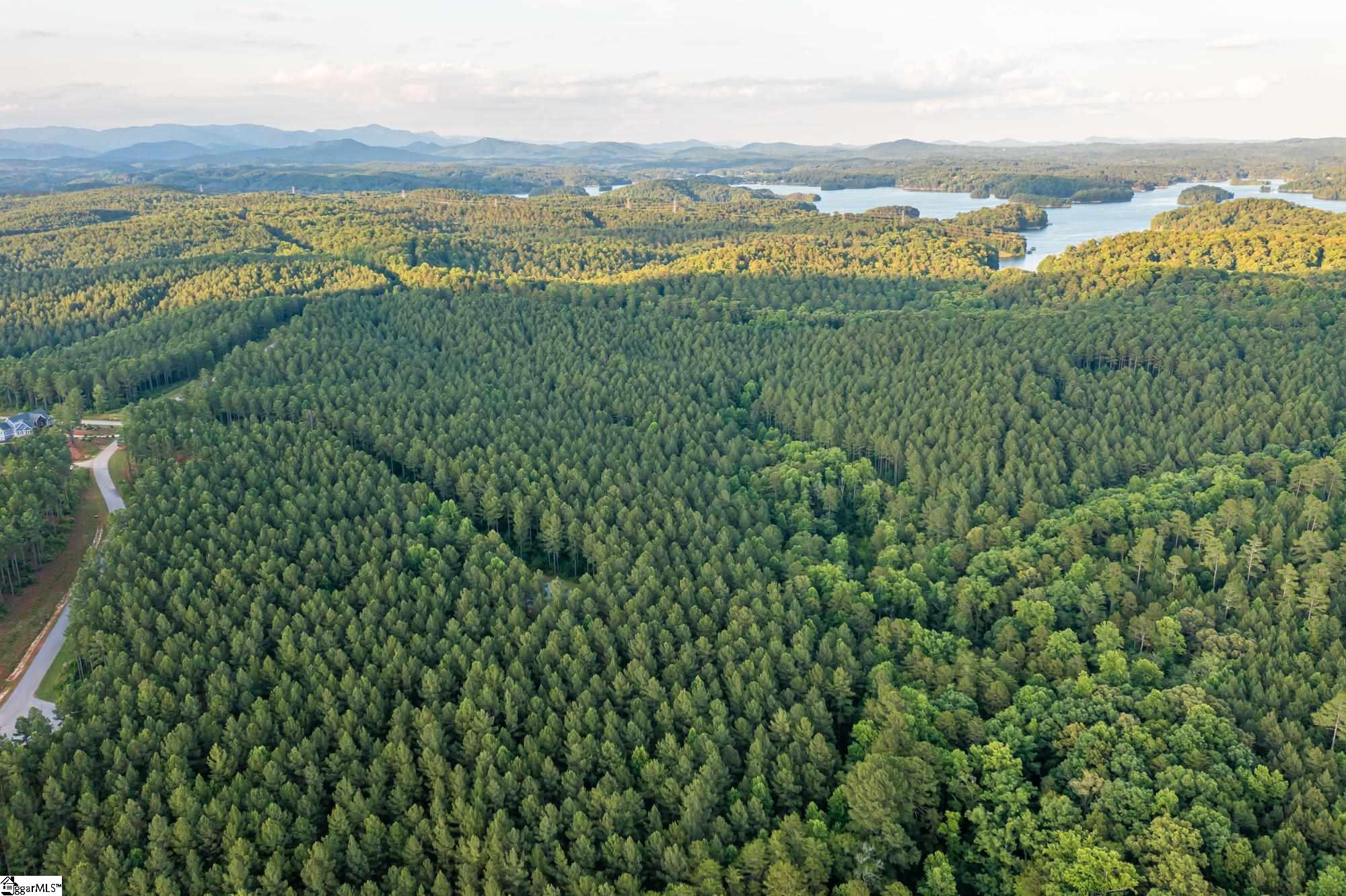High Pines Drive UNIT Lot 4 Salem, SC 29676