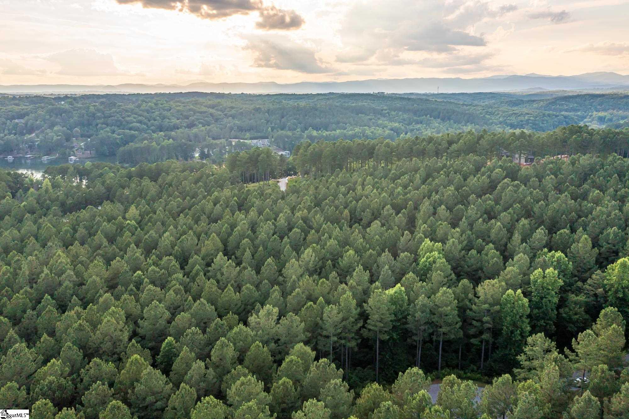 High Pines Drive UNIT Lot 4 Salem, SC 29676
