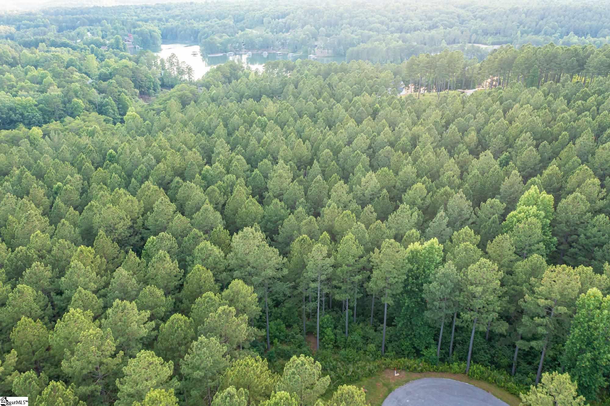 High Pines Drive UNIT Lot 4 Salem, SC 29676