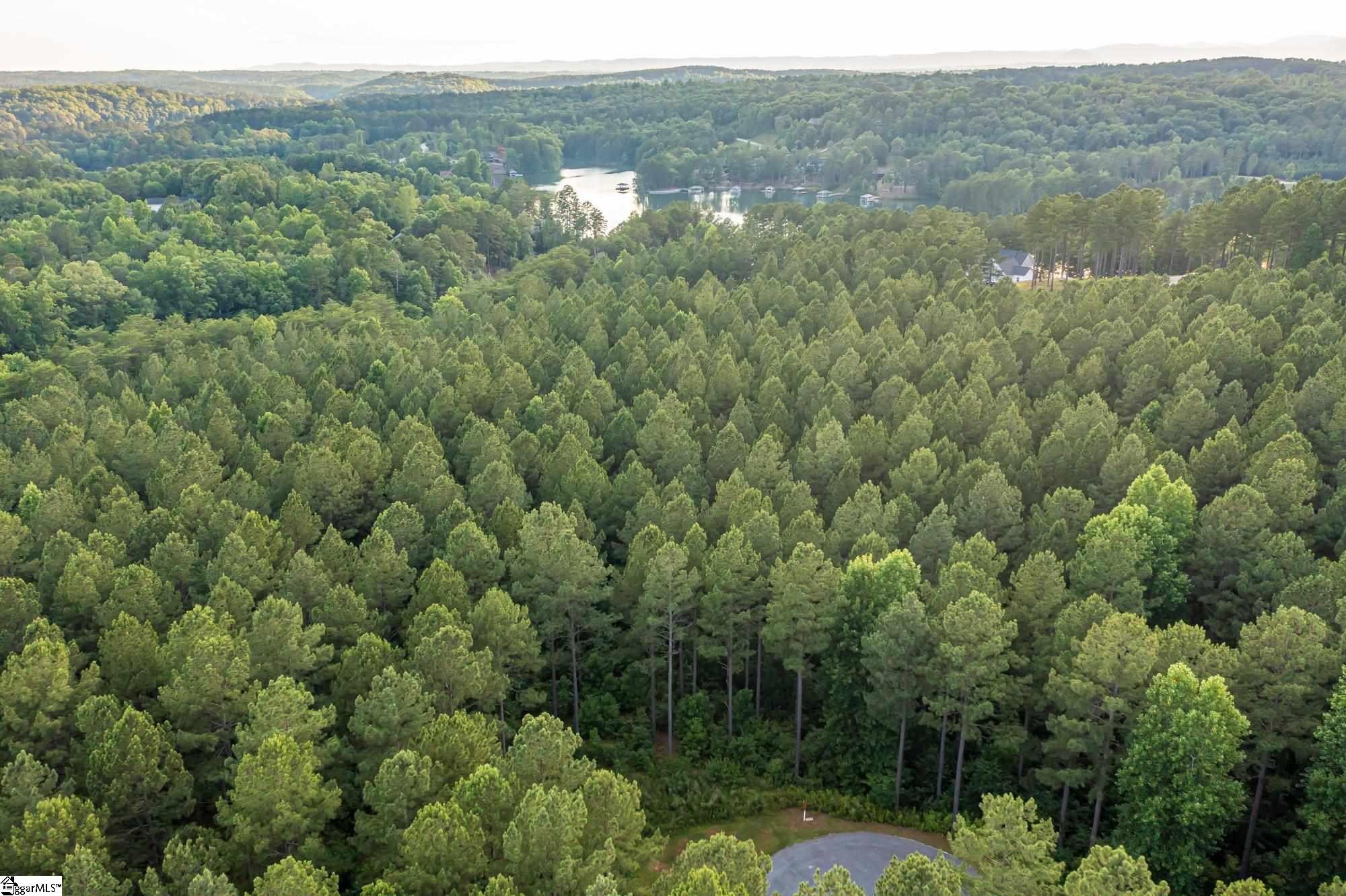 High Pines Drive UNIT Lot 4 Salem, SC 29676