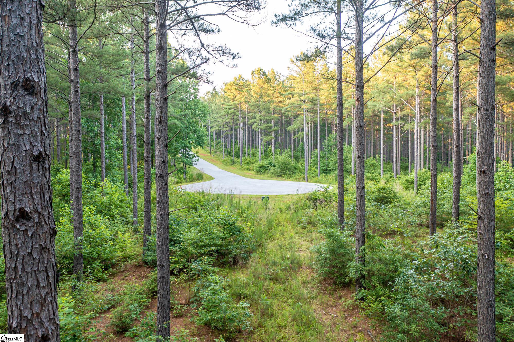 High Pines Drive UNIT Lot 4 Salem, SC 29676