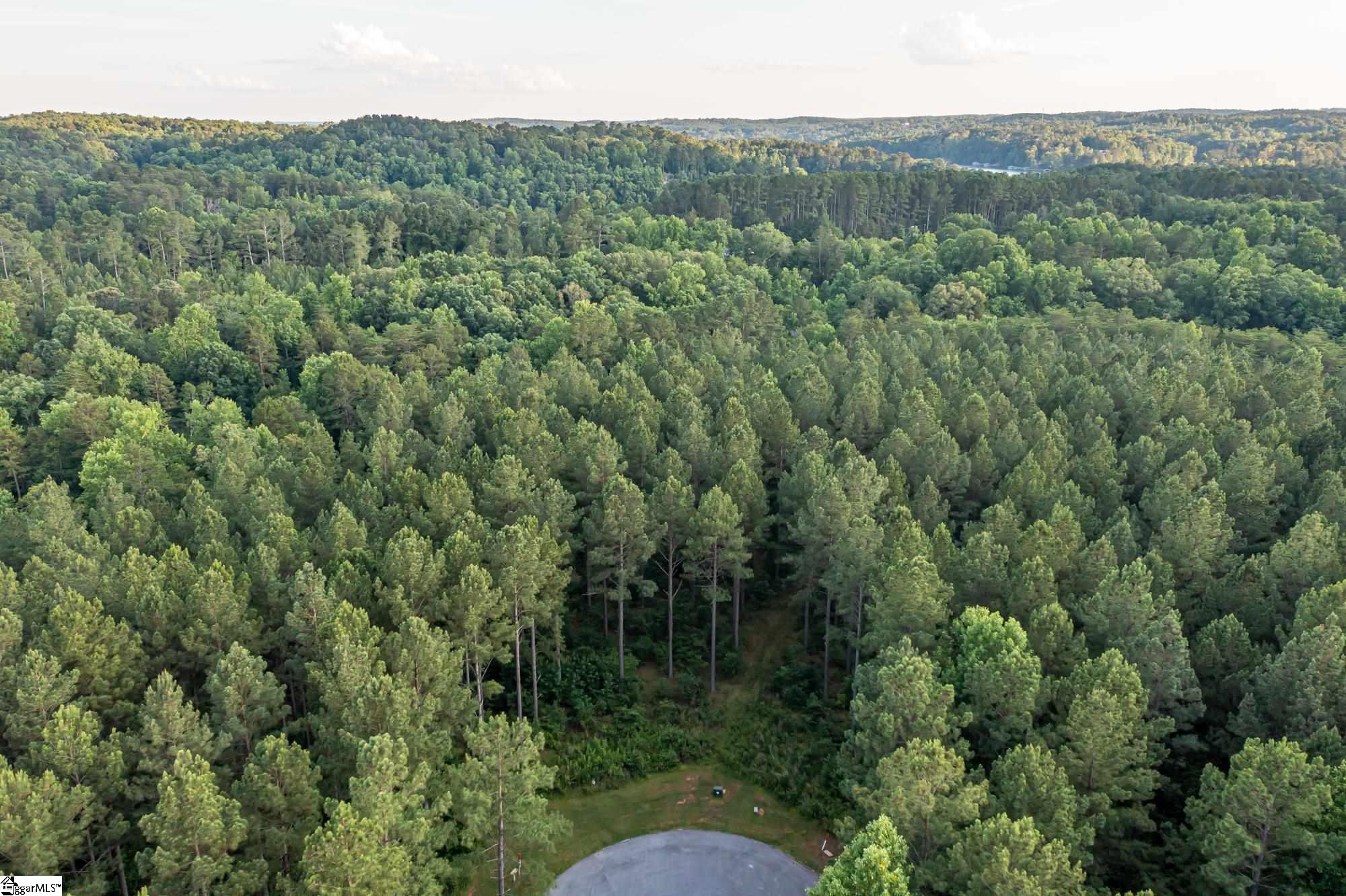 High Pines Drive UNIT Lot 4 Salem, SC 29676