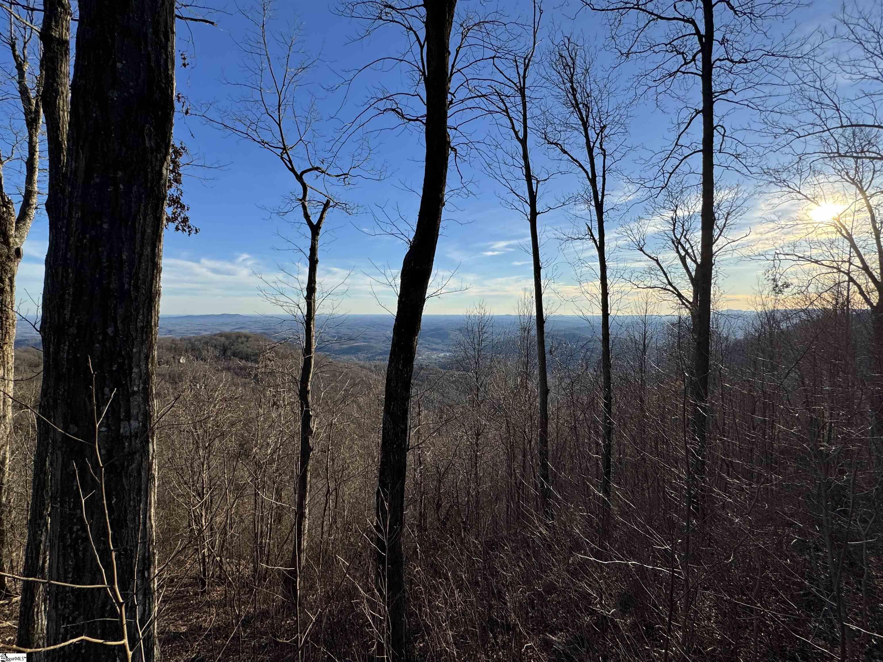 260 Bella Vista Court Zirconia, NC 28790