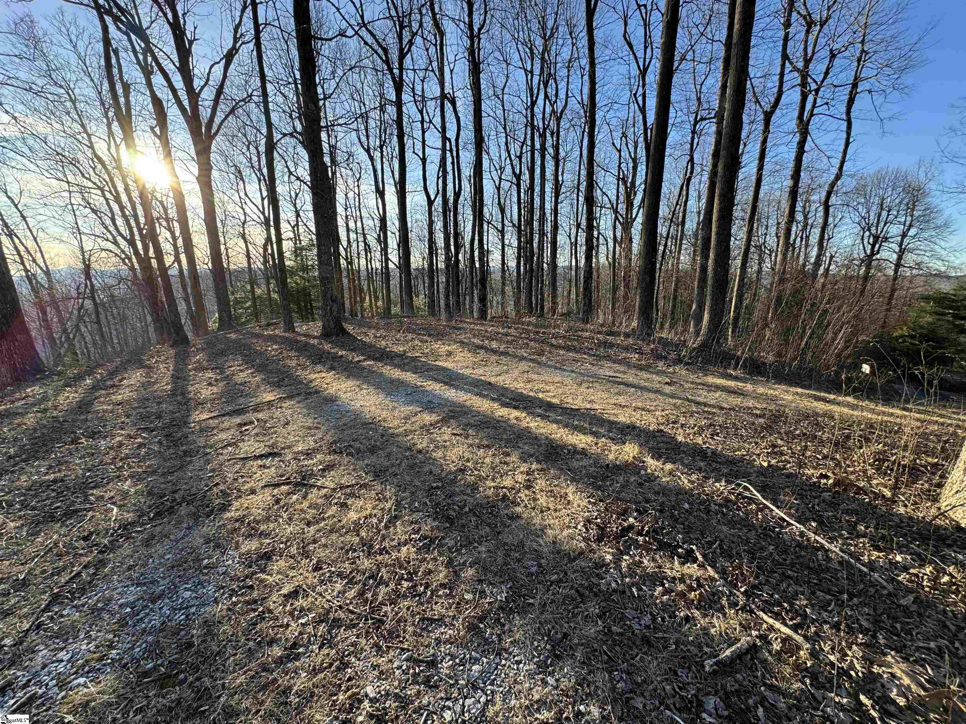 260 Bella Vista Court Zirconia, NC 28790