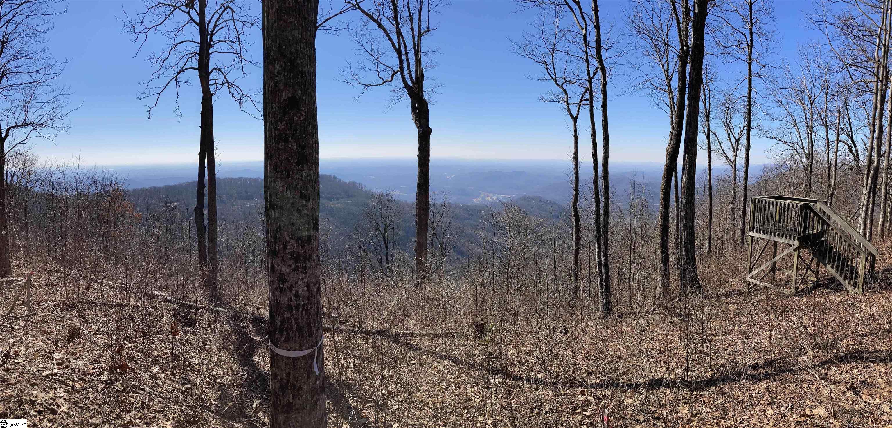 260 Bella Vista Court Zirconia, NC 28790