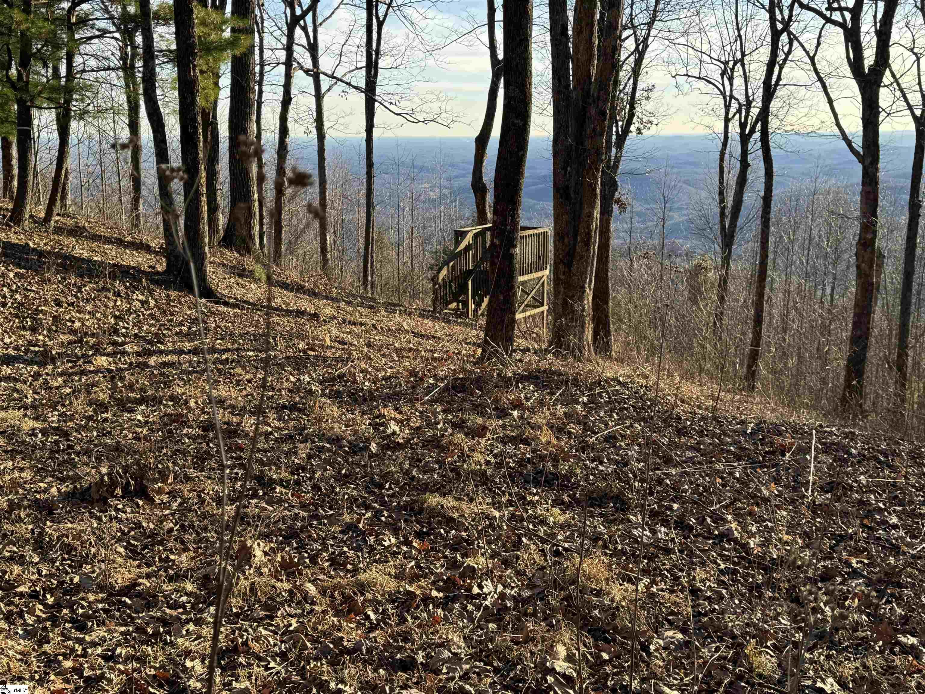 246 Bella Vista Court Zirconia, NC 28790