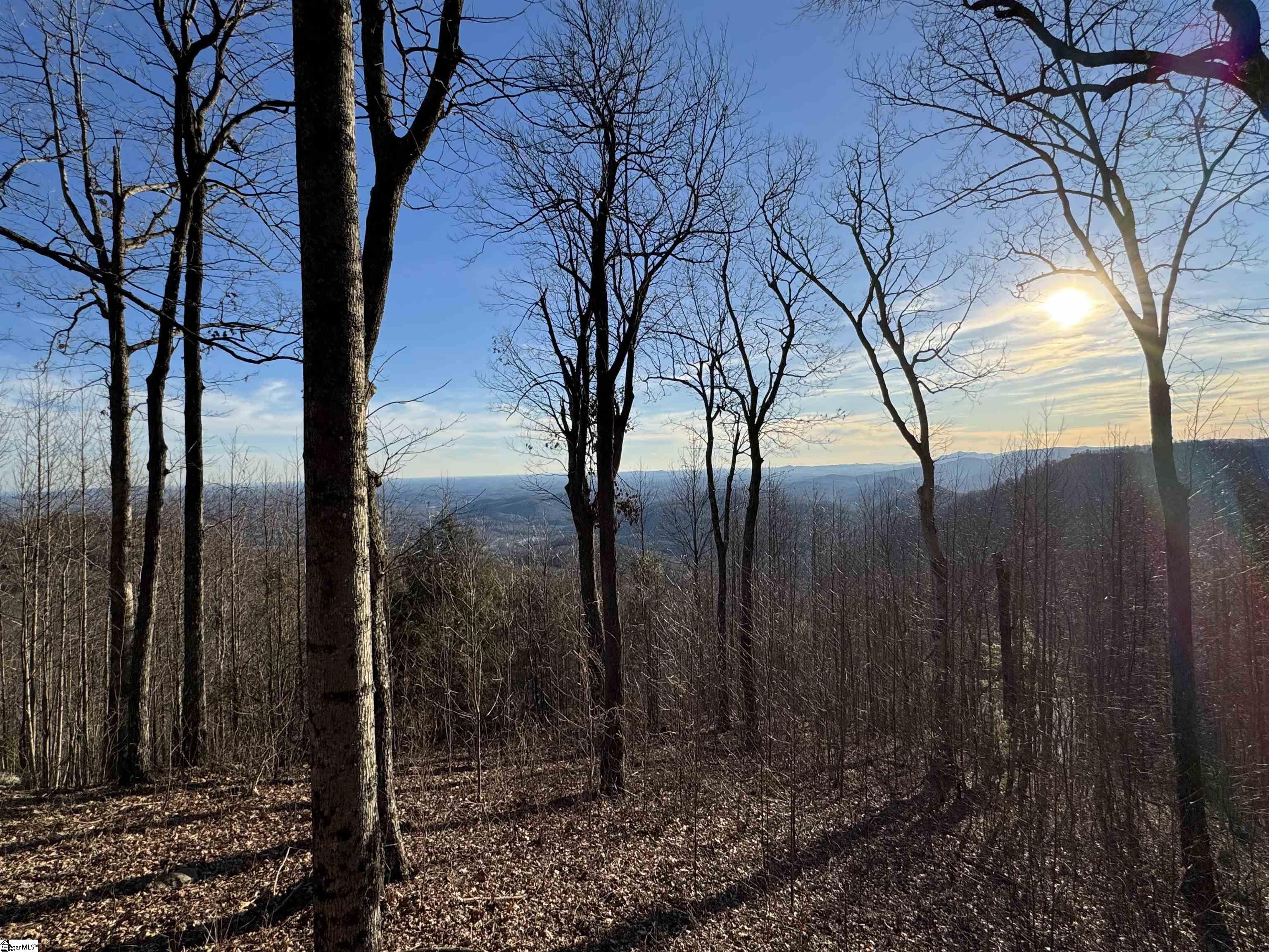 246 Bella Vista Court Zirconia, NC 28790