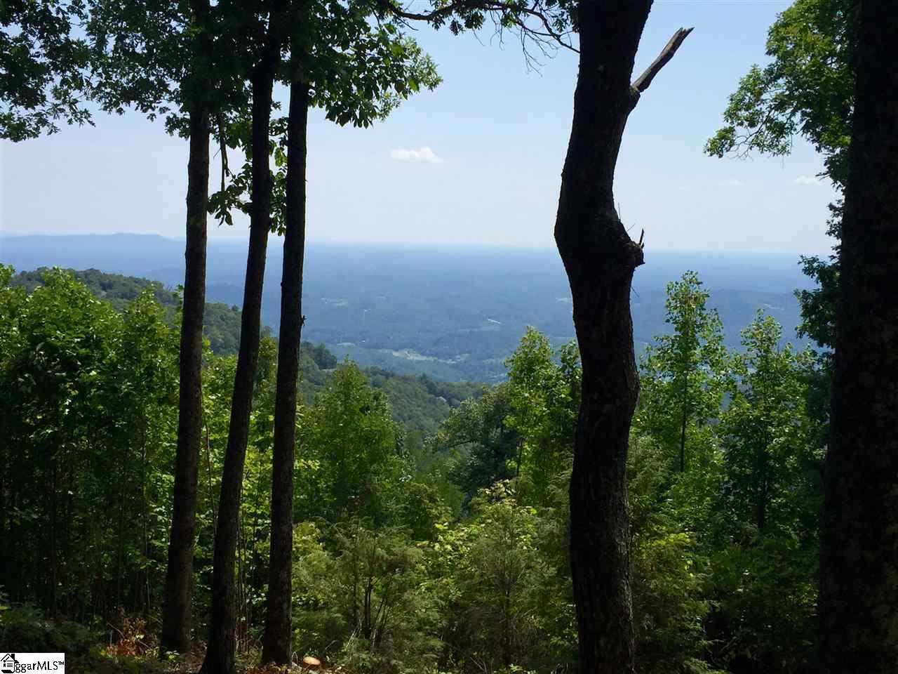 246 Bella Vista Court Zirconia, NC 28790