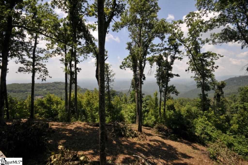 246 Bella Vista Court Zirconia, NC 28790
