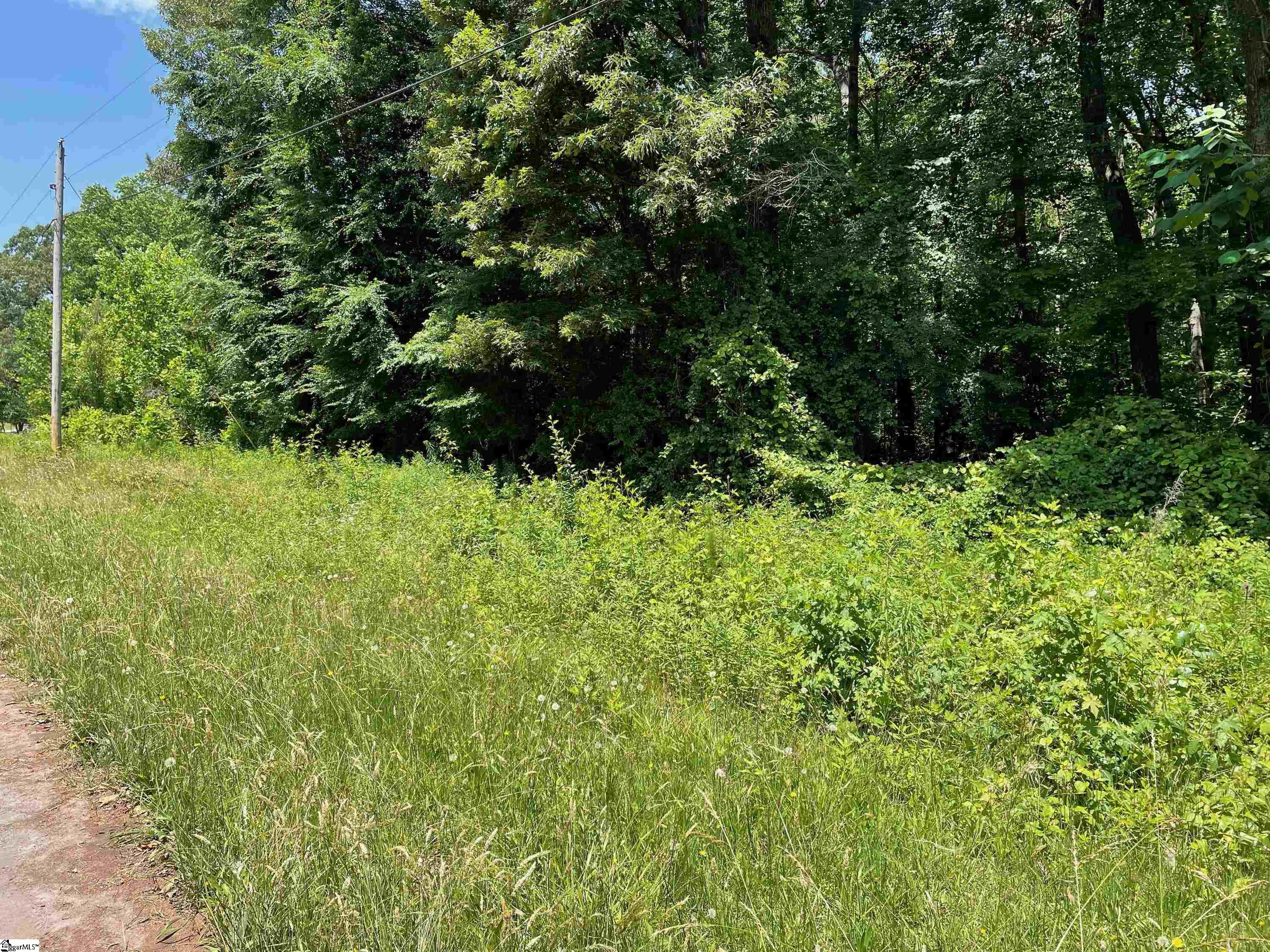 ~NEW PRICE - $60,000~ 2.01 ACRES, in Anderson District One with Wren Schools is ready to clear and build your dream home or place a mobile home!  Located on a quiet street with branch line (spring) for back property line, and a pasture view makes for quiet county living!  Just off of Highway 81 and near I-85 in the Piercetown Community makes for quick commute to Anderson or Greenville. ~ Deed restriction to be placed on property at closing of no mobile homes older than five years or 2018 model. ~  Located in the Blue Ridge Electric area, Powdersville Water District and septic system will need to be installed by Buyer.
