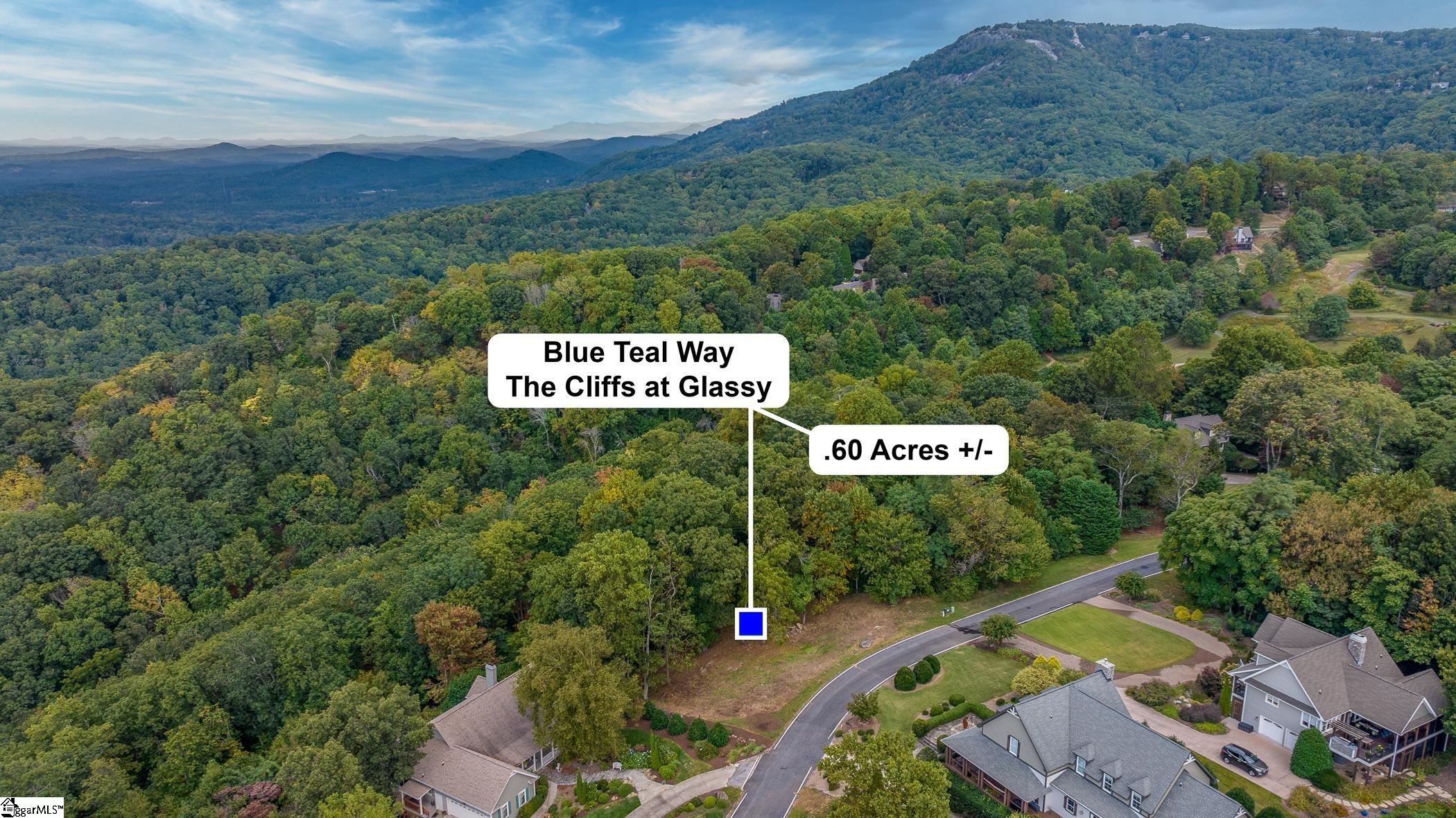 40 Blue Teal Way Landrum, SC 29356-3329