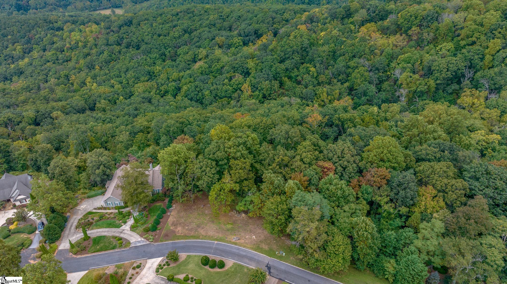 40 Blue Teal Way Landrum, SC 29356-3329