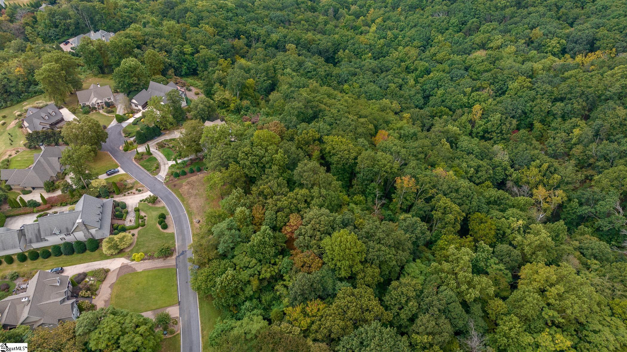 40 Blue Teal Way Landrum, SC 29356-3329