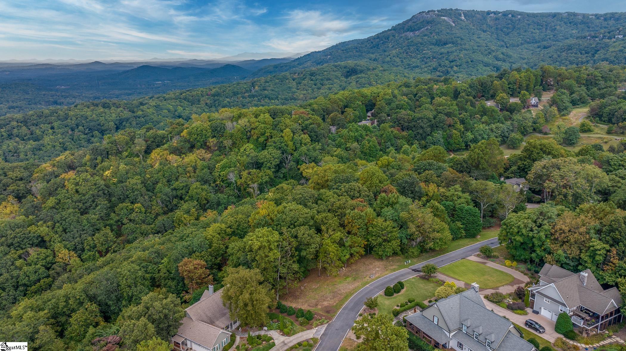 40 Blue Teal Way Landrum, SC 29356-3329