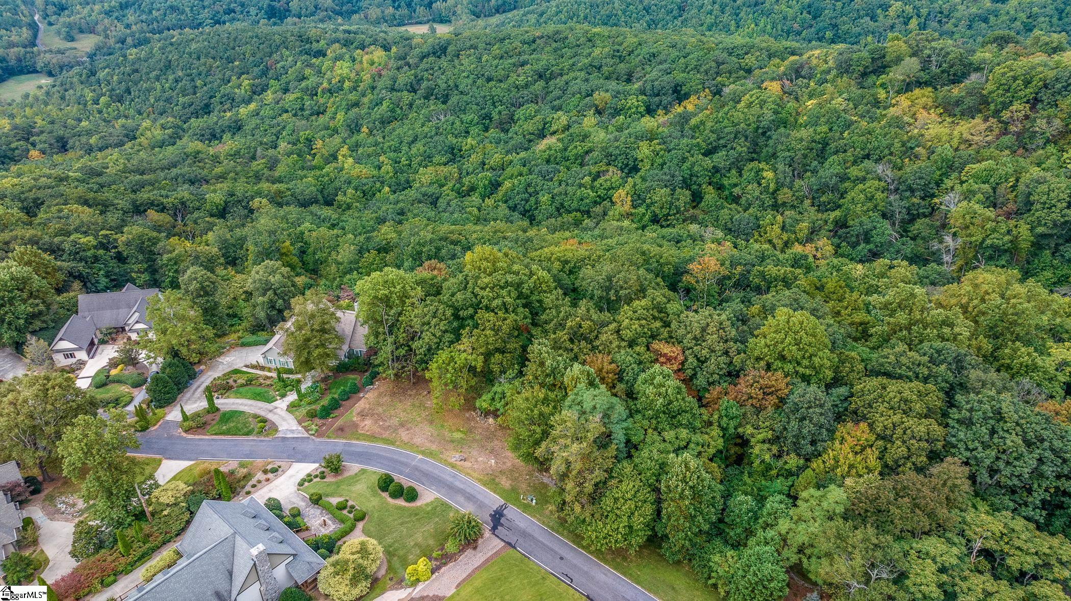 40 Blue Teal Way Landrum, SC 29356-3329