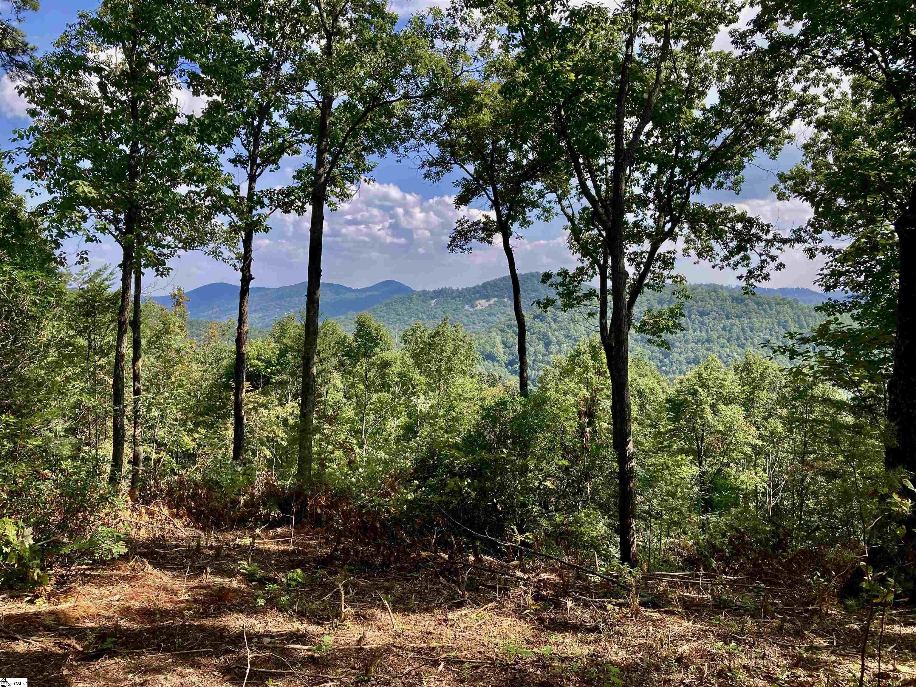 47 Mountain Oak Lane Travelers Rest, SC 29690