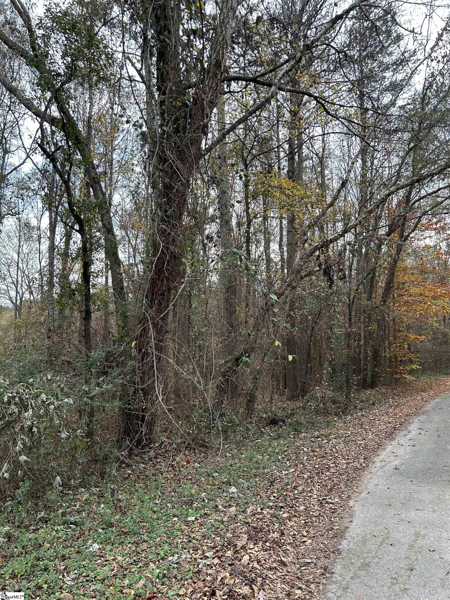 120 Sand Bar Road Starr, SC 29684