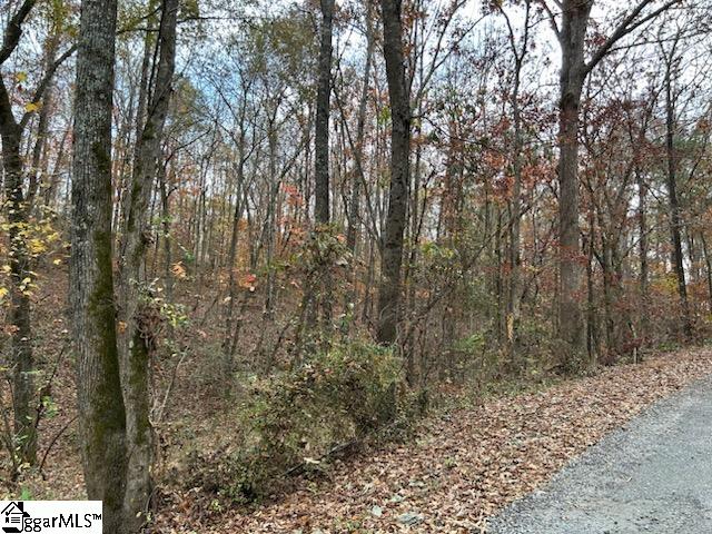 120 Sand Bar Road Starr, SC 29684