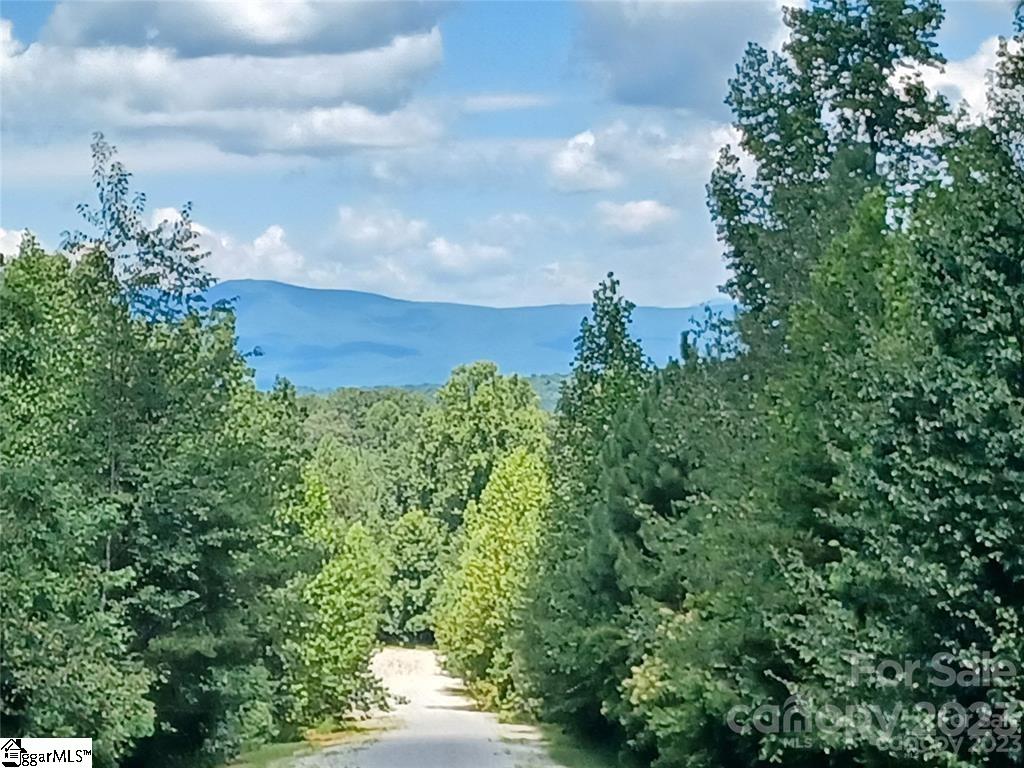 130 Trellis Drive Other, NC 28761