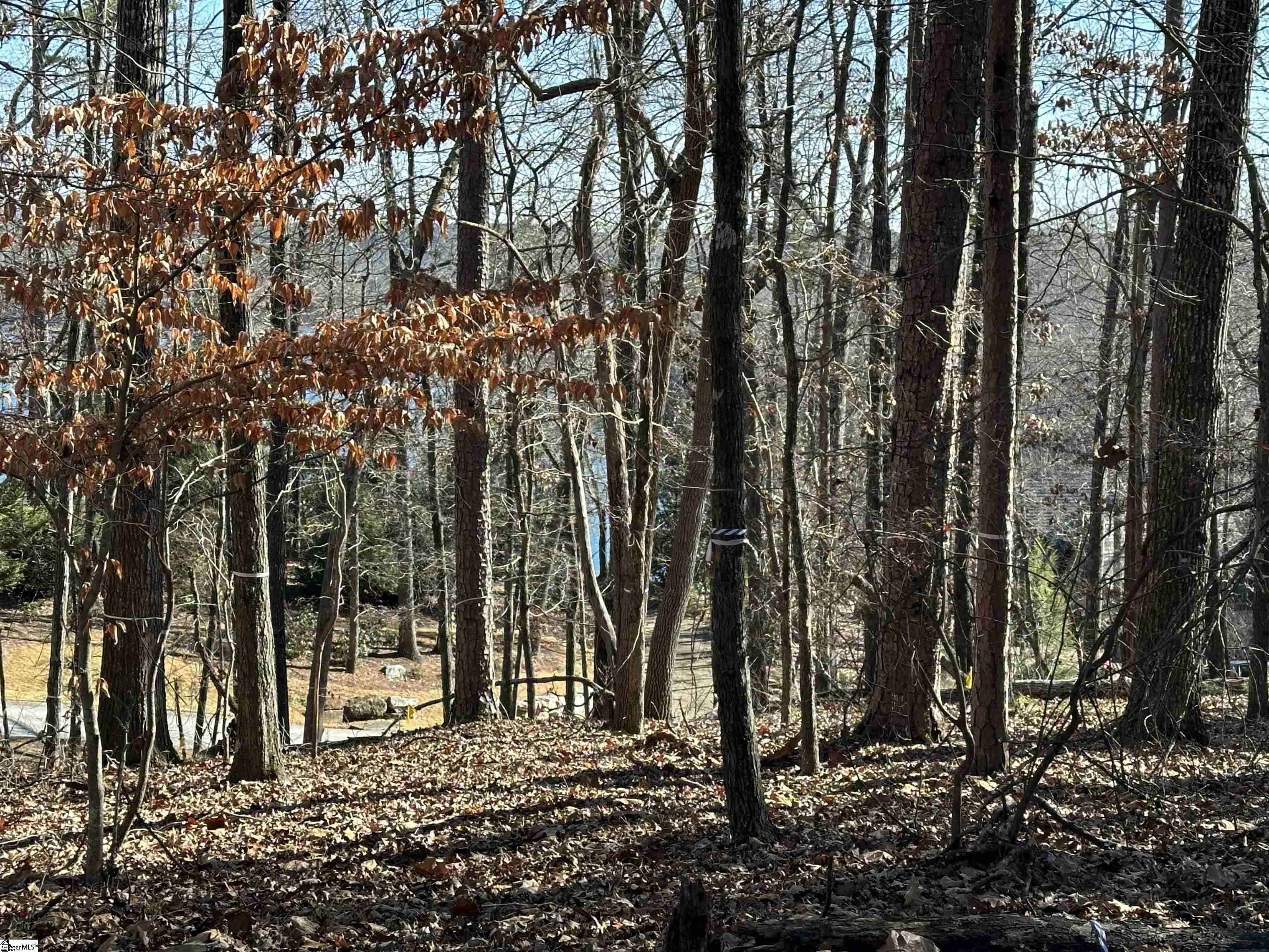 106 E Fort George Way Sunset, SC 29685