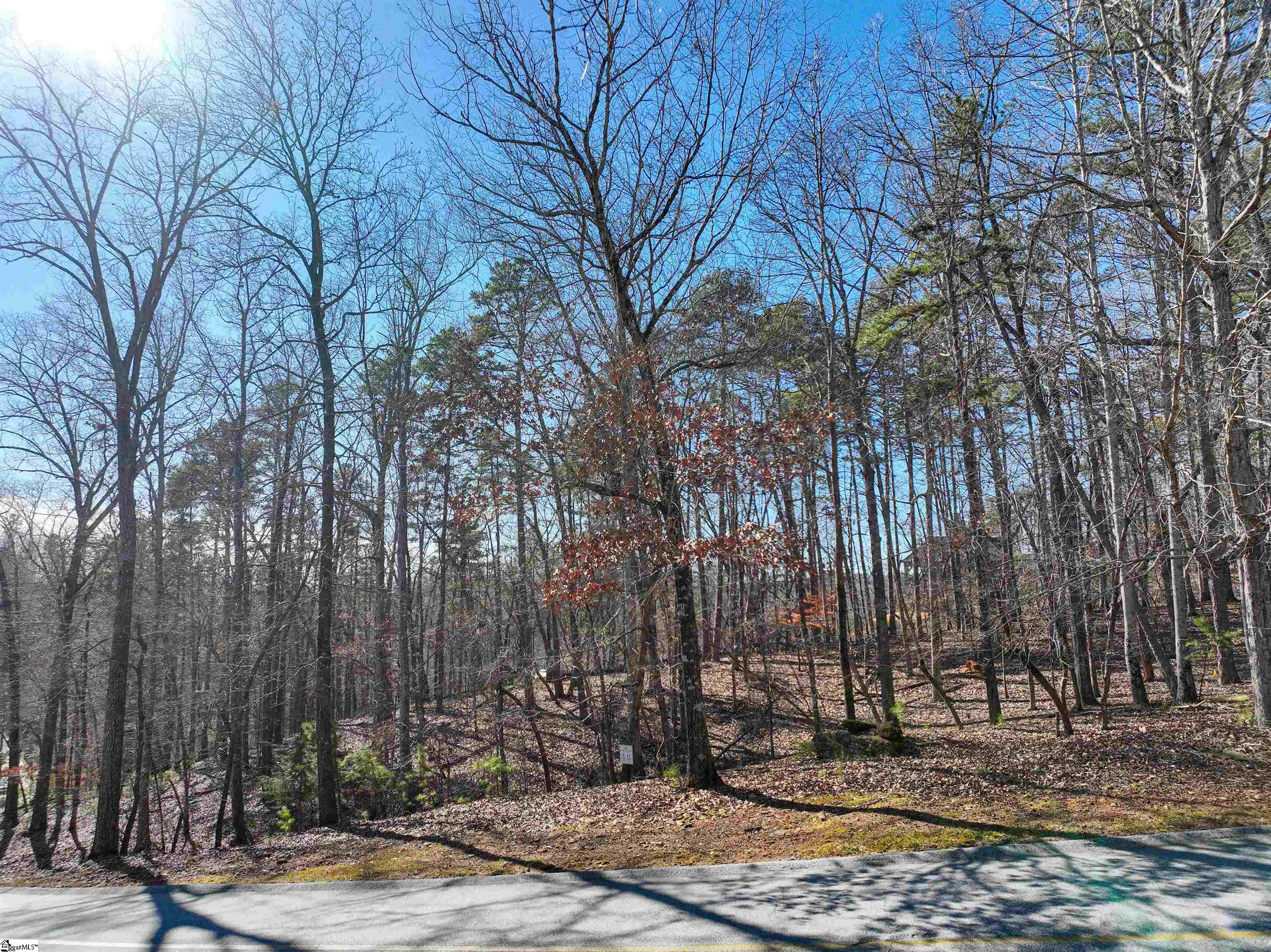 106 E Fort George Way Sunset, SC 29685