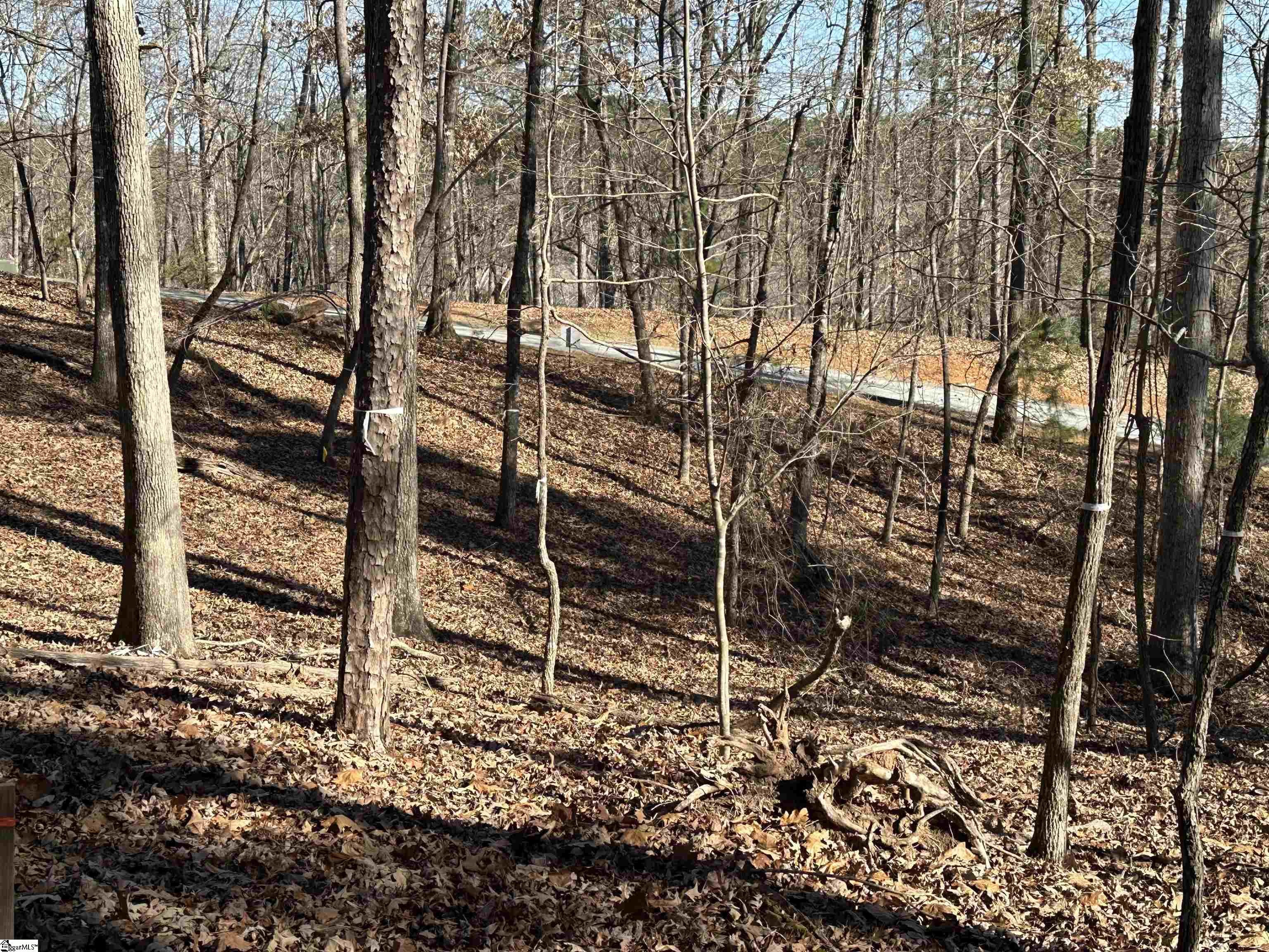 106 E Fort George Way Sunset, SC 29685