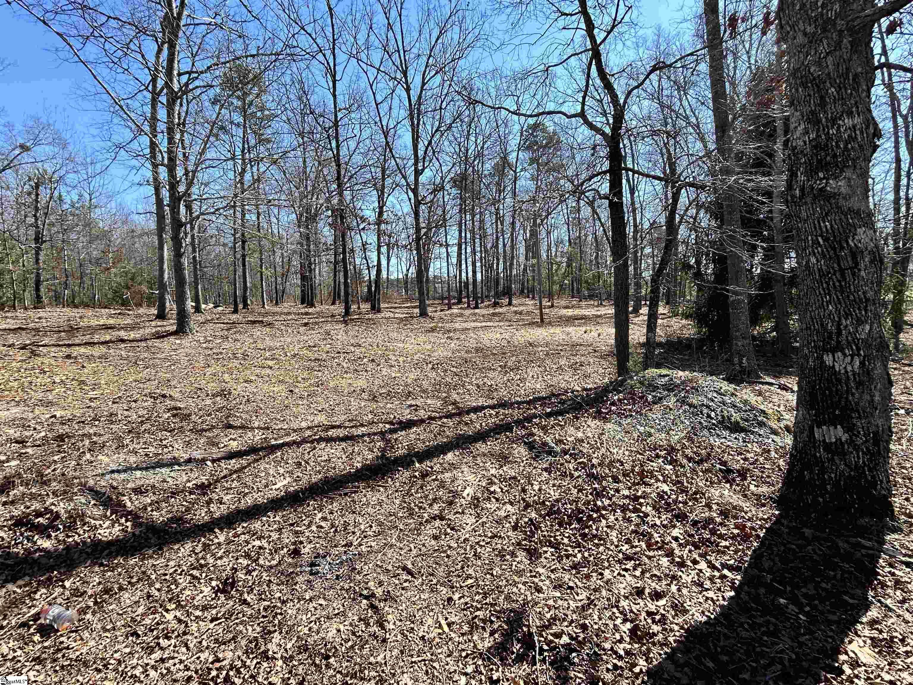 Come see 2 acres listed in Anderson school district one with septic on site and big creek water available!