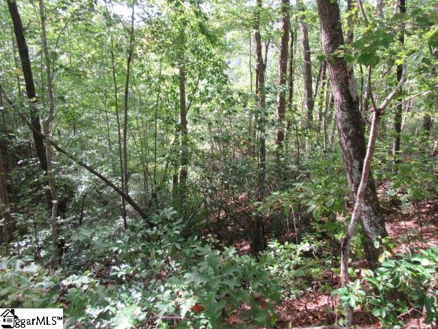 103 Rock Ridge Pickens, SC 29671