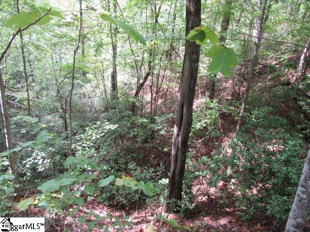 103 Rock Ridge Pickens, SC 29671