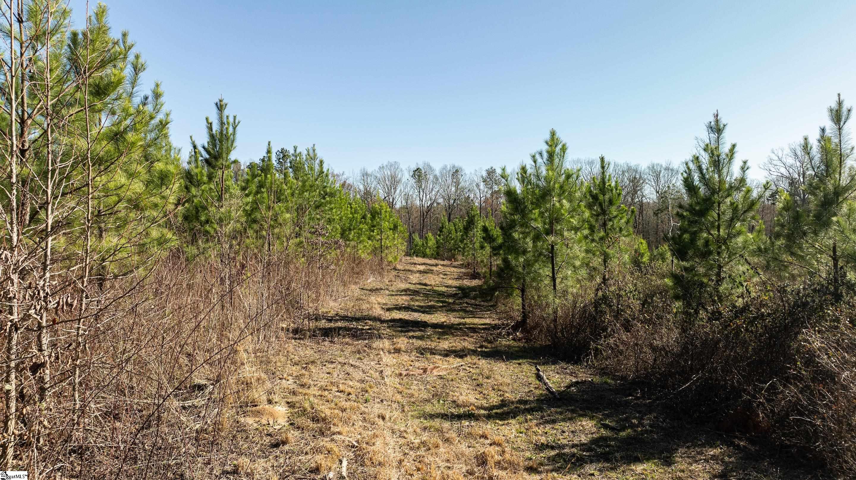 00 Lake Road Clinton, SC 29325