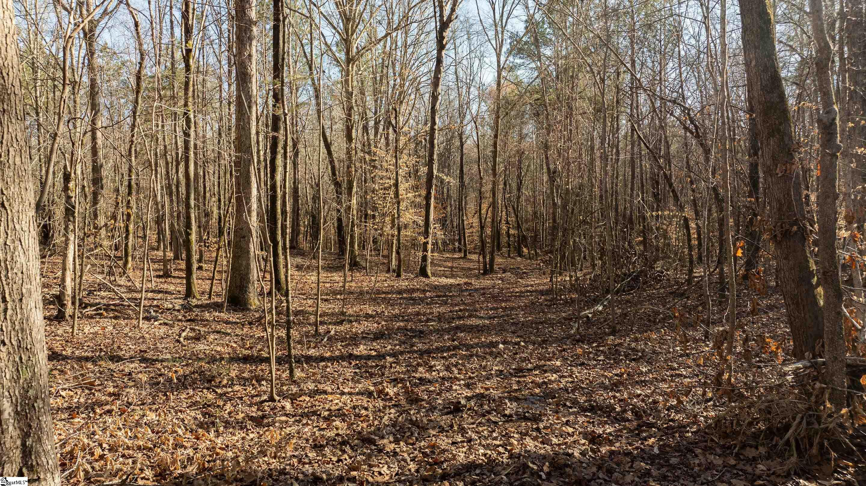00 Lake Road Clinton, SC 29325