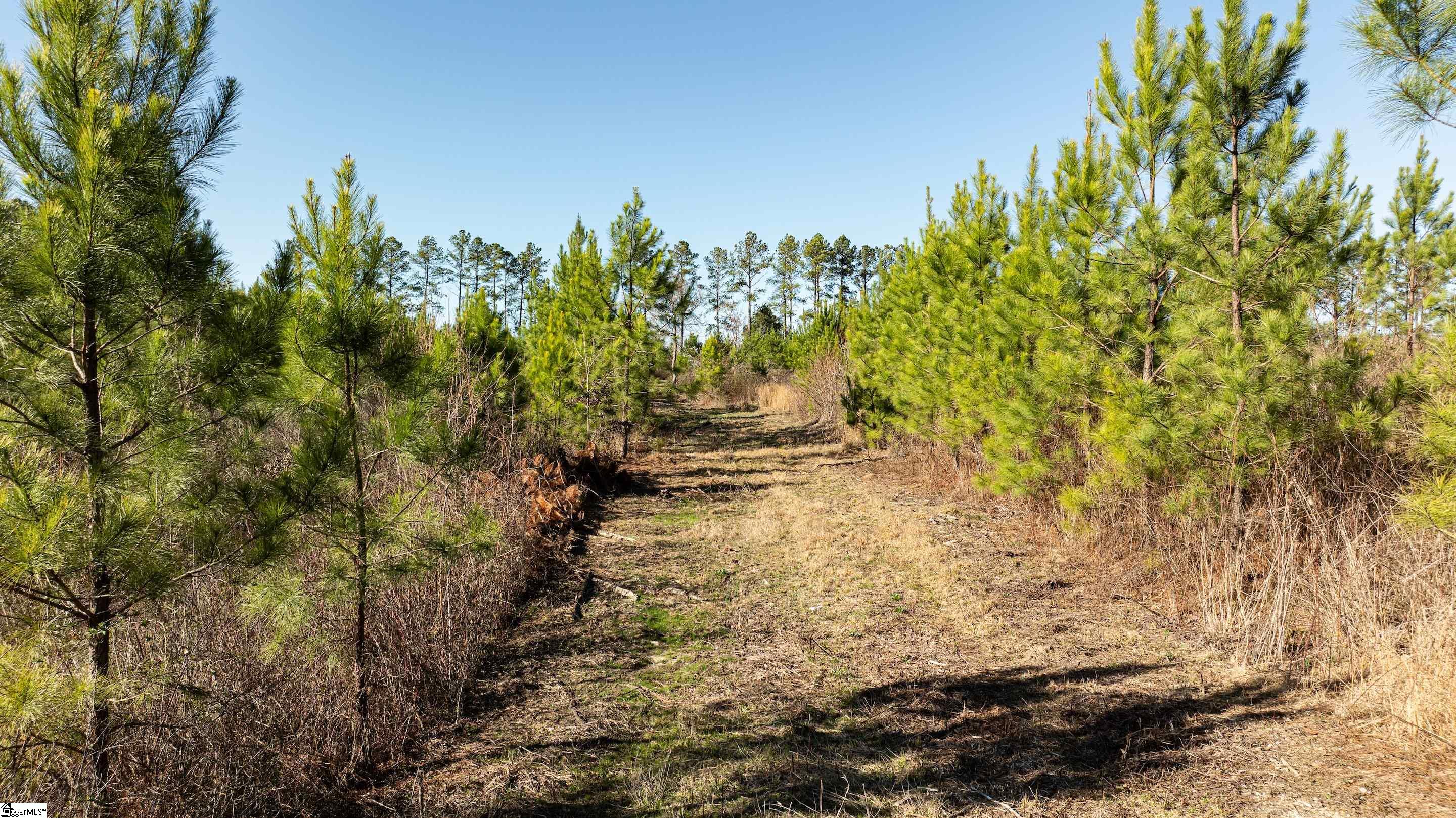 00 Lake Road Clinton, SC 29325