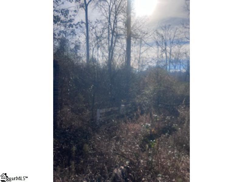 000A Riverbend Road UNIT Lot 65 Fair Play, SC 29643