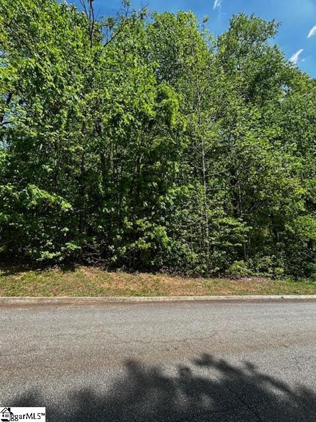 Old Rockhouse Road UNIT Lot 46 Greenville, SC 29609