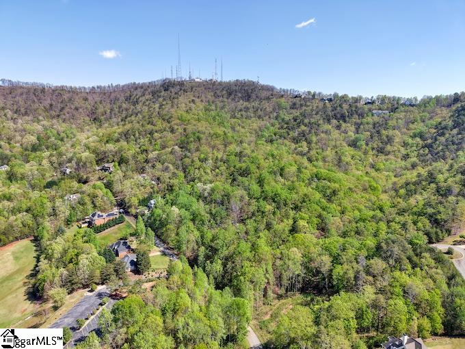 Old Rockhouse Road UNIT Lot 46 Greenville, SC 29609