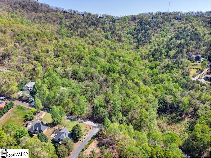 Old Rockhouse Road UNIT Lot 46 Greenville, SC 29609