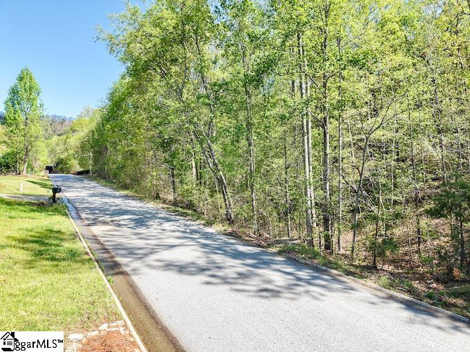 Old Rockhouse Road UNIT Lot 46 Greenville, SC 29609