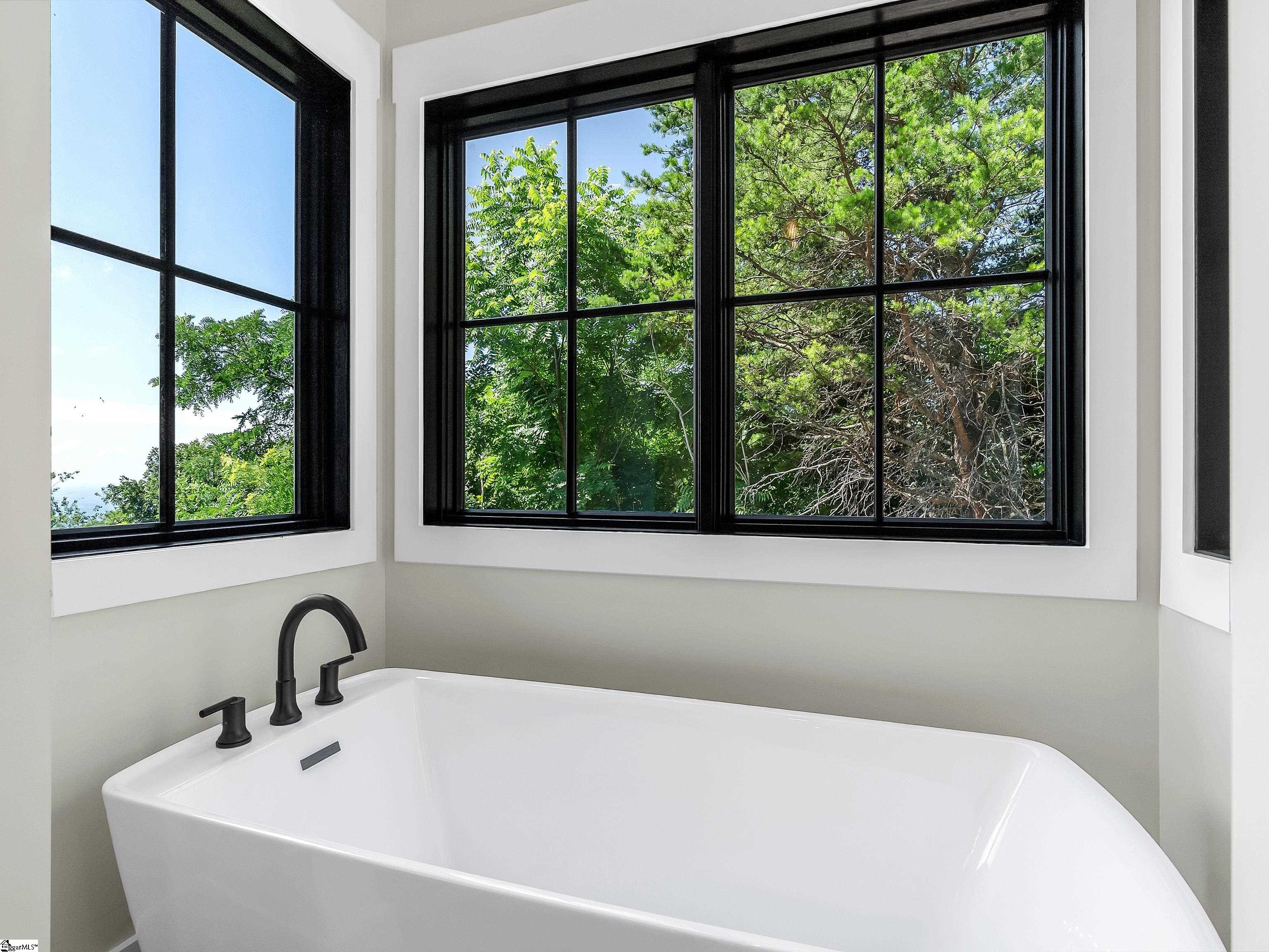 5 Lobelia Way Landrum, SC 29356