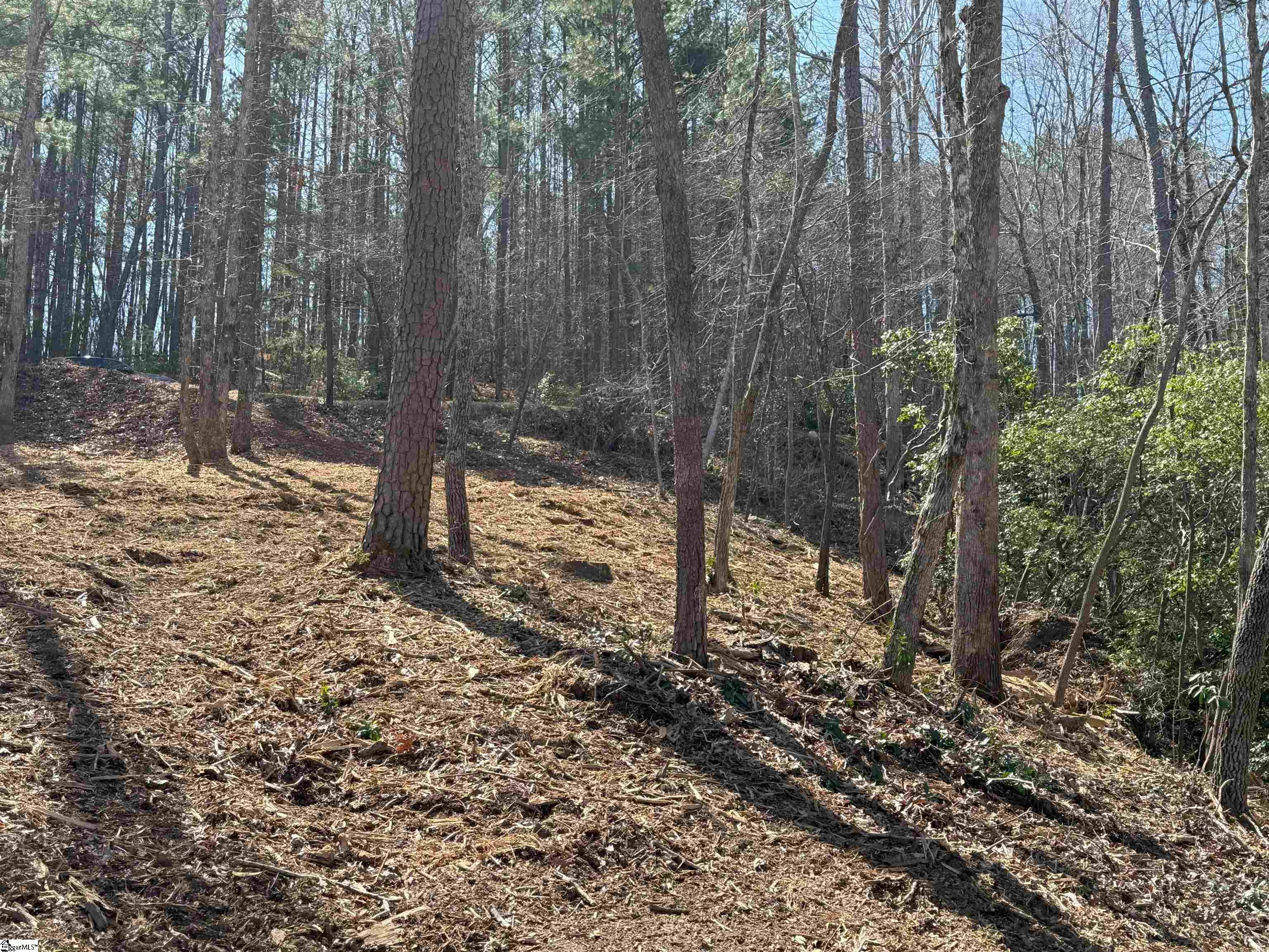 116 Stillwater Court Sunset, SC 29685