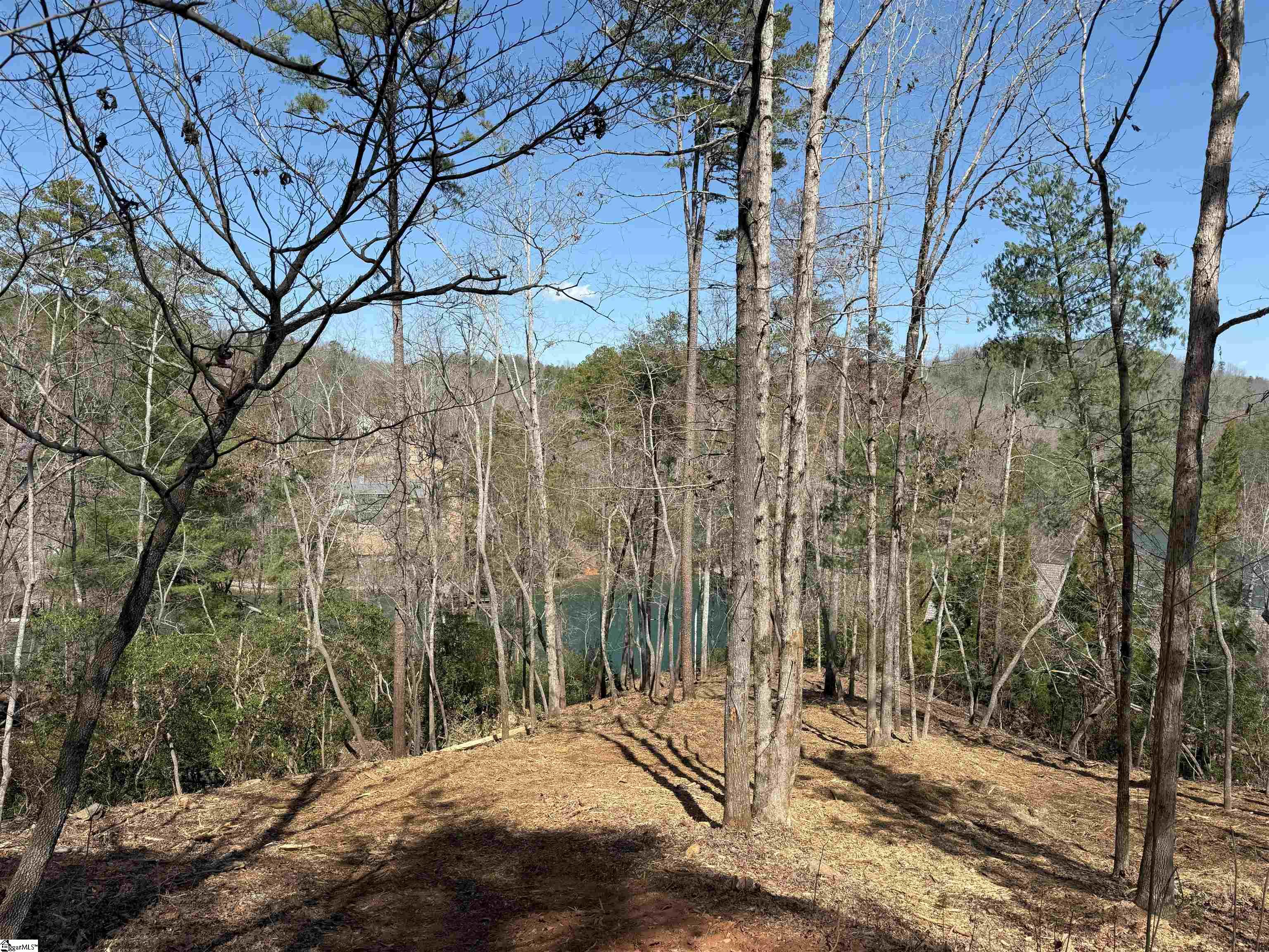 116 Stillwater Court Sunset, SC 29685