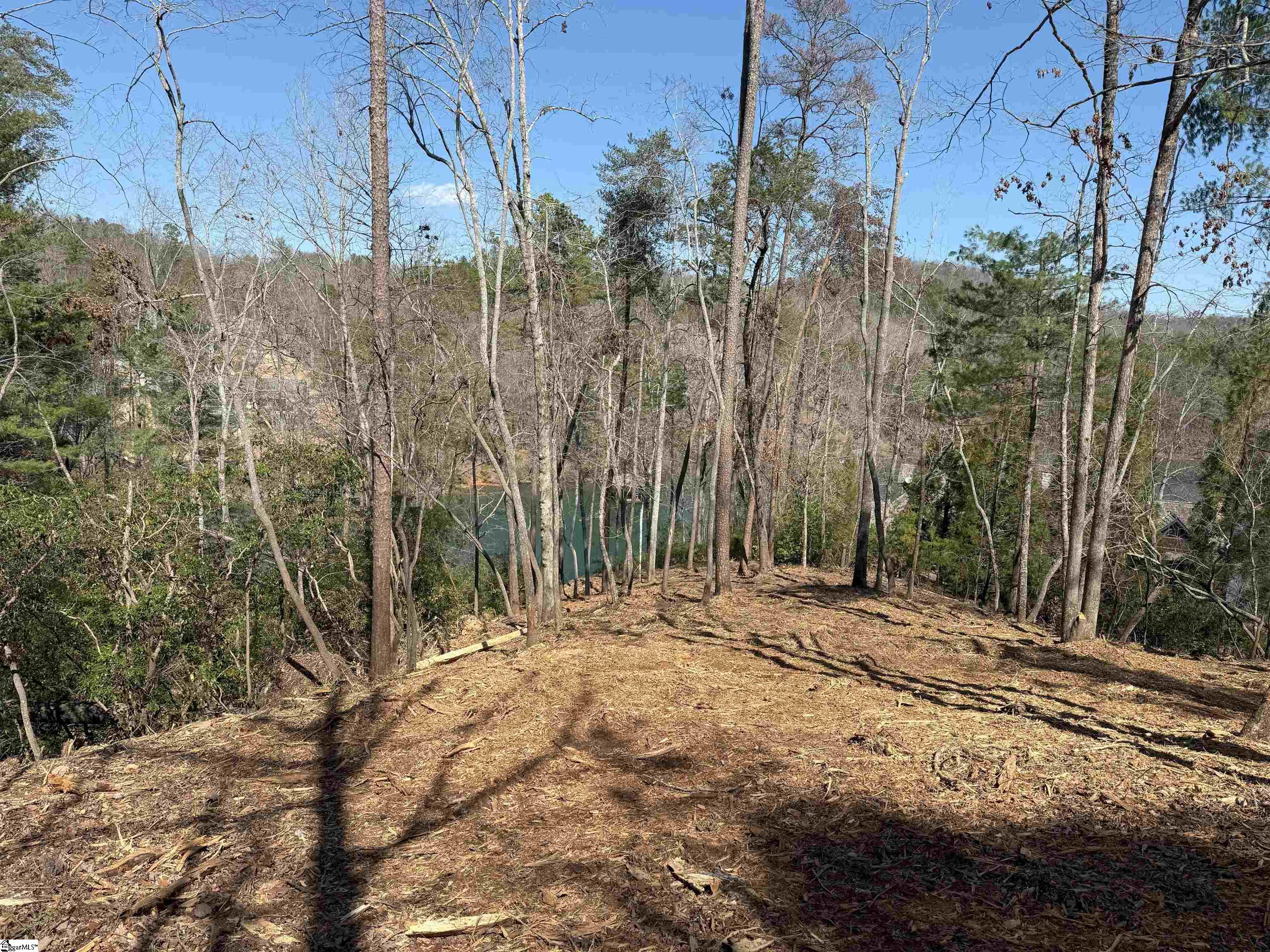 116 Stillwater Court Sunset, SC 29685