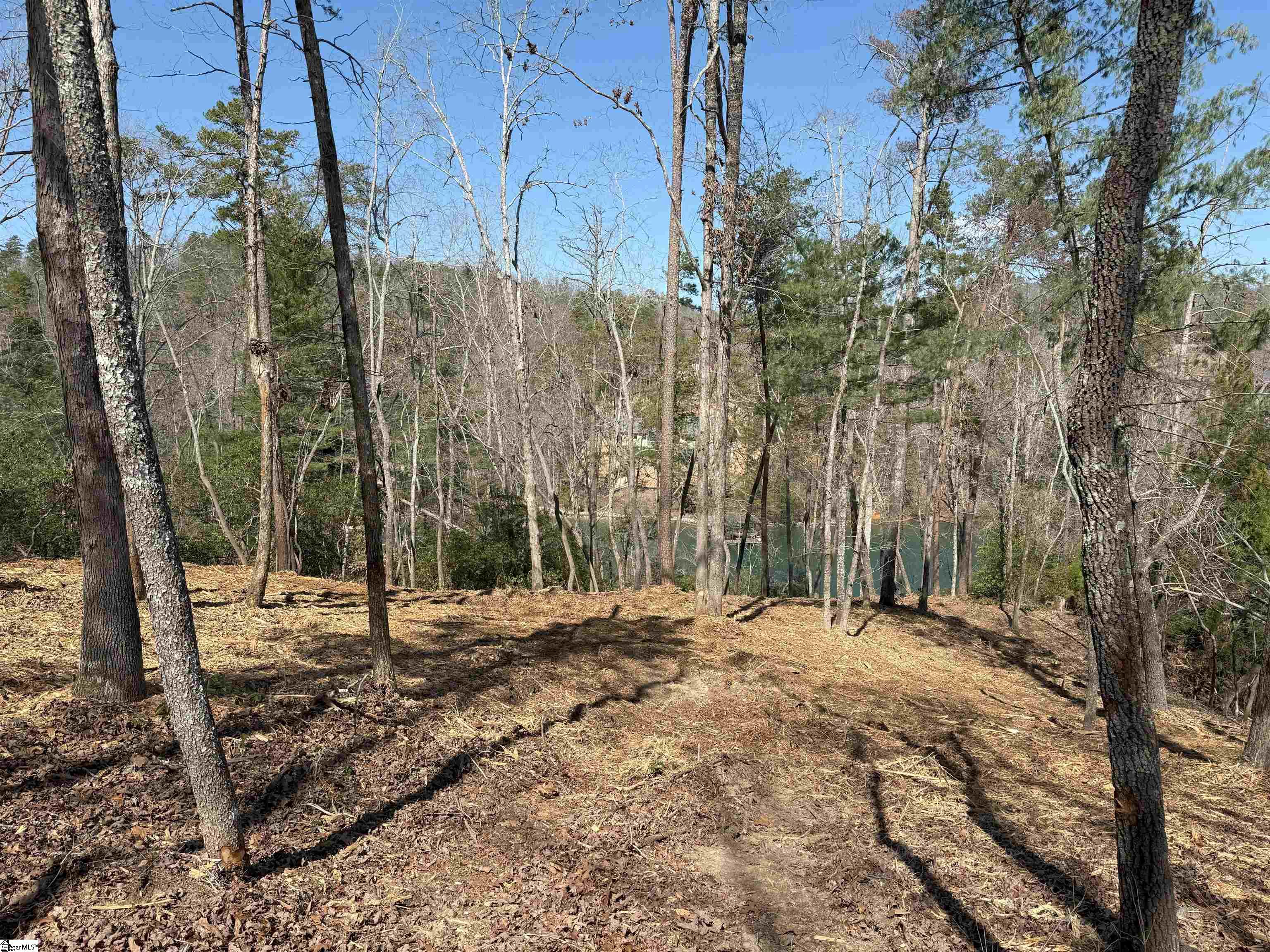 116 Stillwater Court Sunset, SC 29685