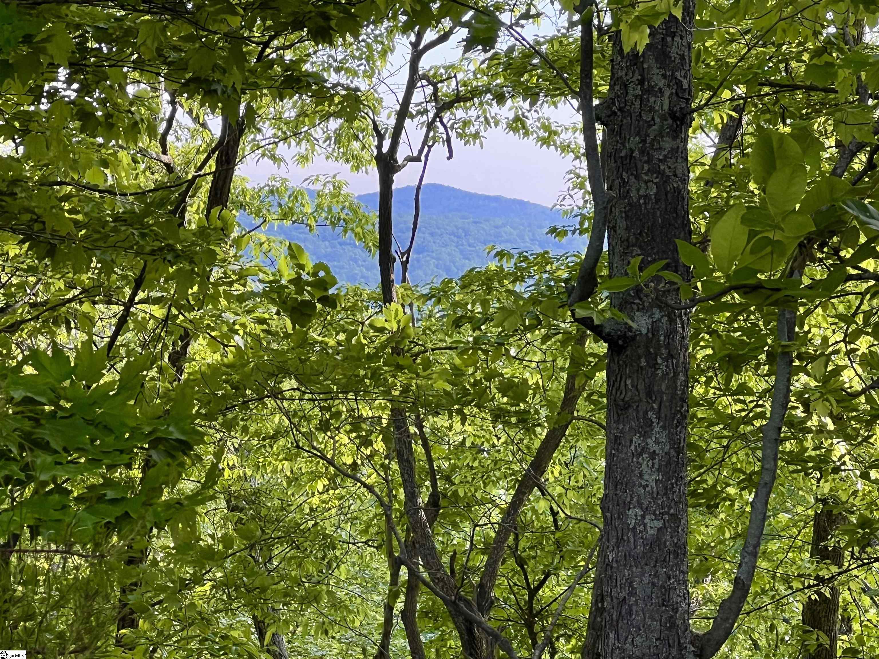 720 Callahan Mountain Road Travelers Rest, SC 29690