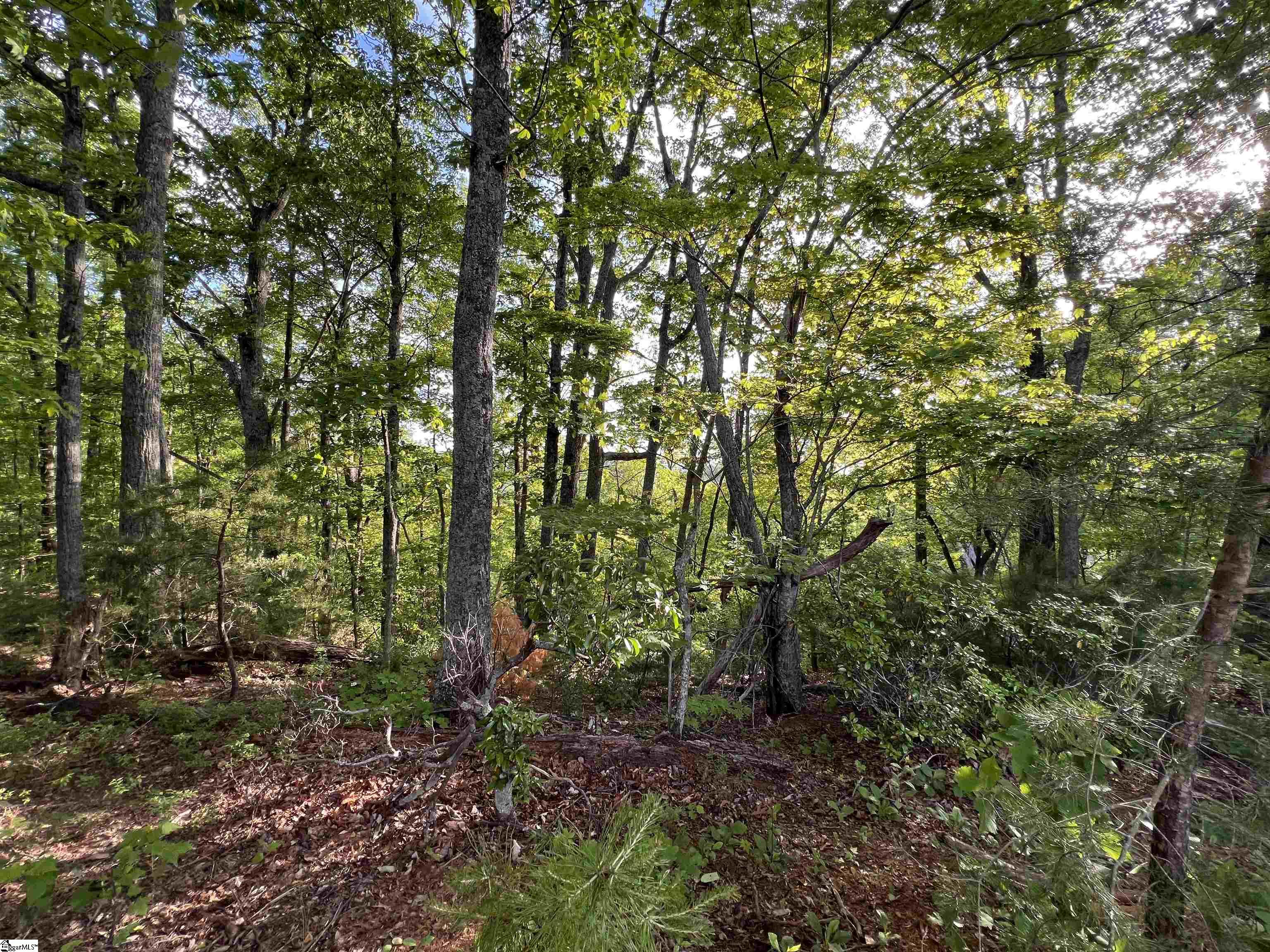 720 Callahan Mountain Road Travelers Rest, SC 29690