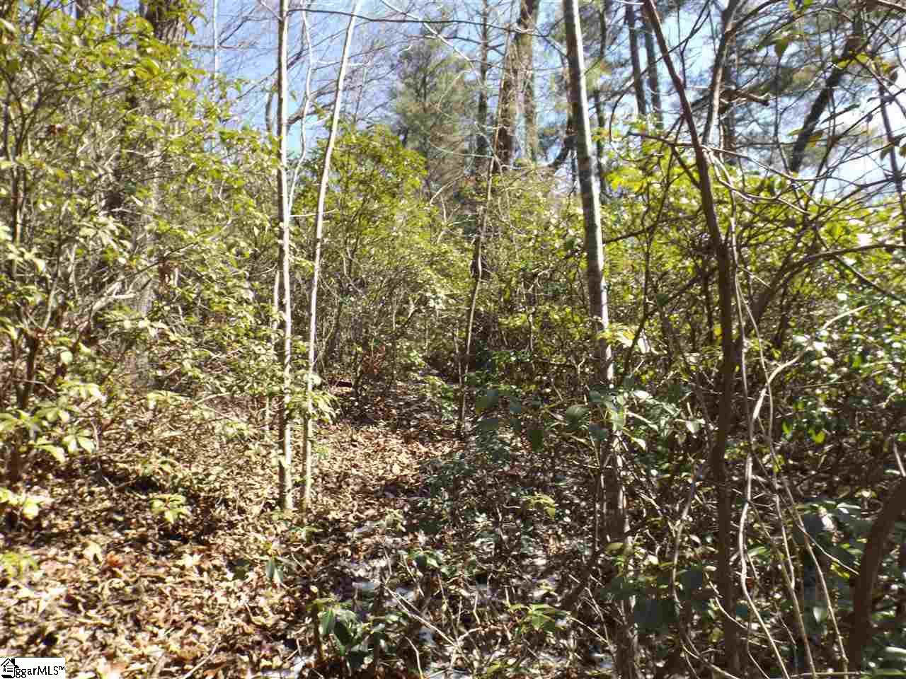 130 Fairway Woods Drive Pickens, SC 29671