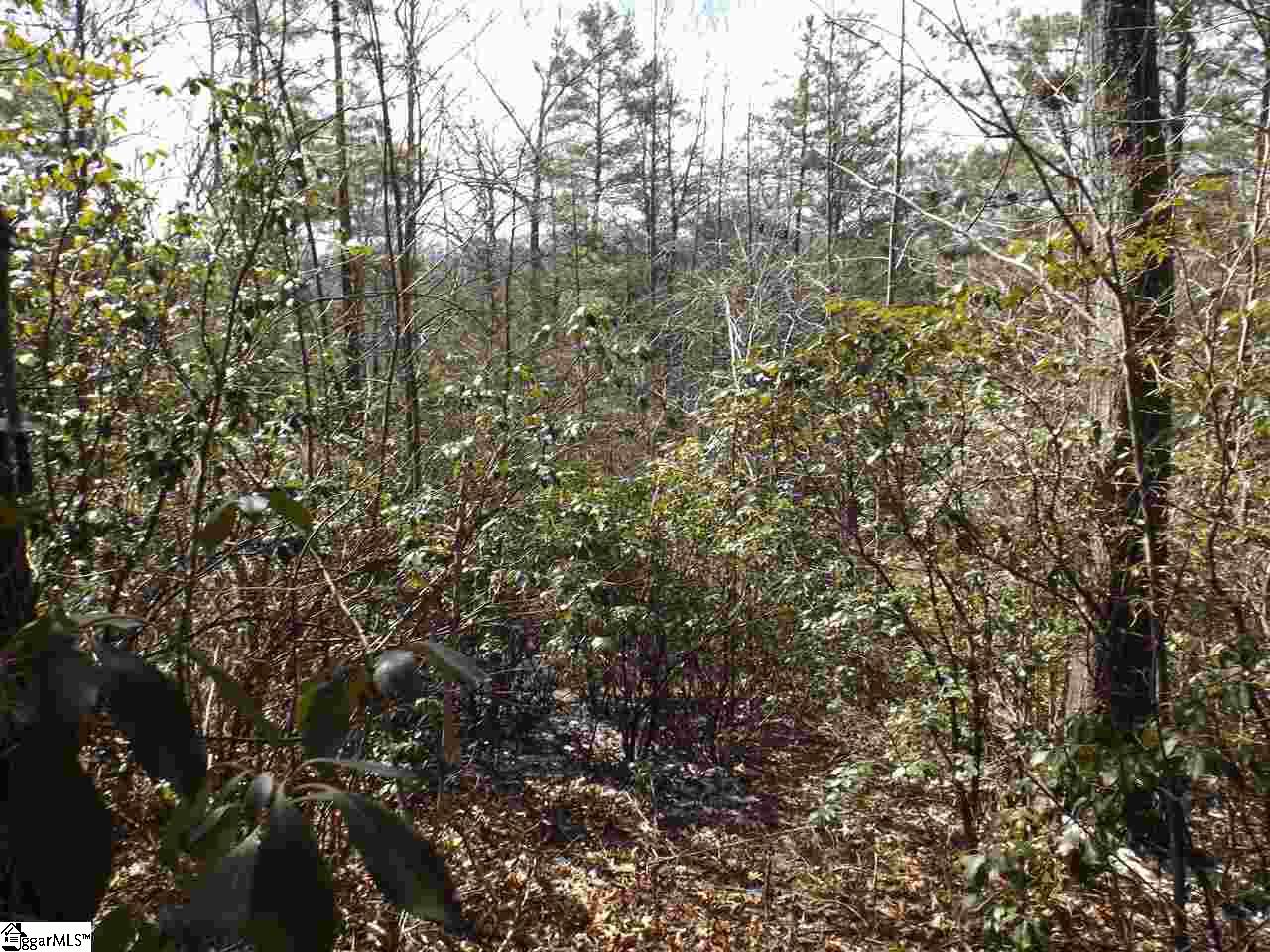 130 Fairway Woods Drive Pickens, SC 29671