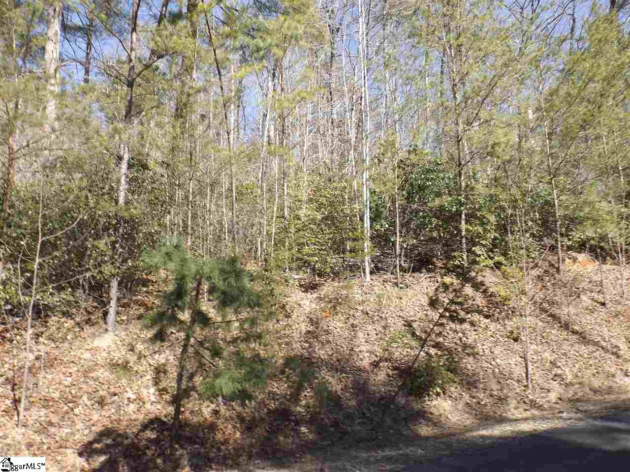 130 Fairway Woods Drive Pickens, SC 29671