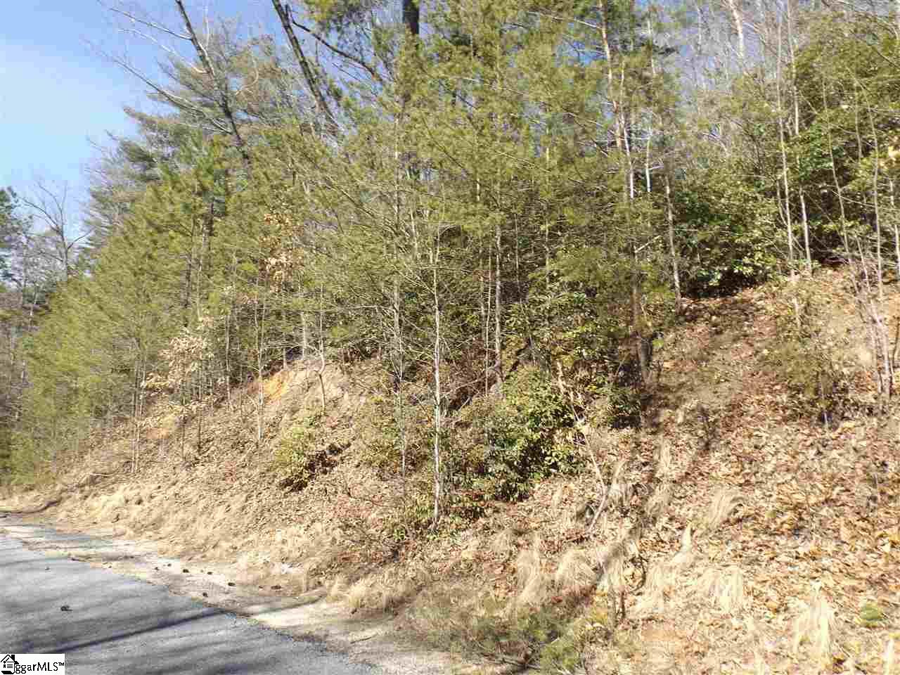 130 Fairway Woods Drive Pickens, SC 29671