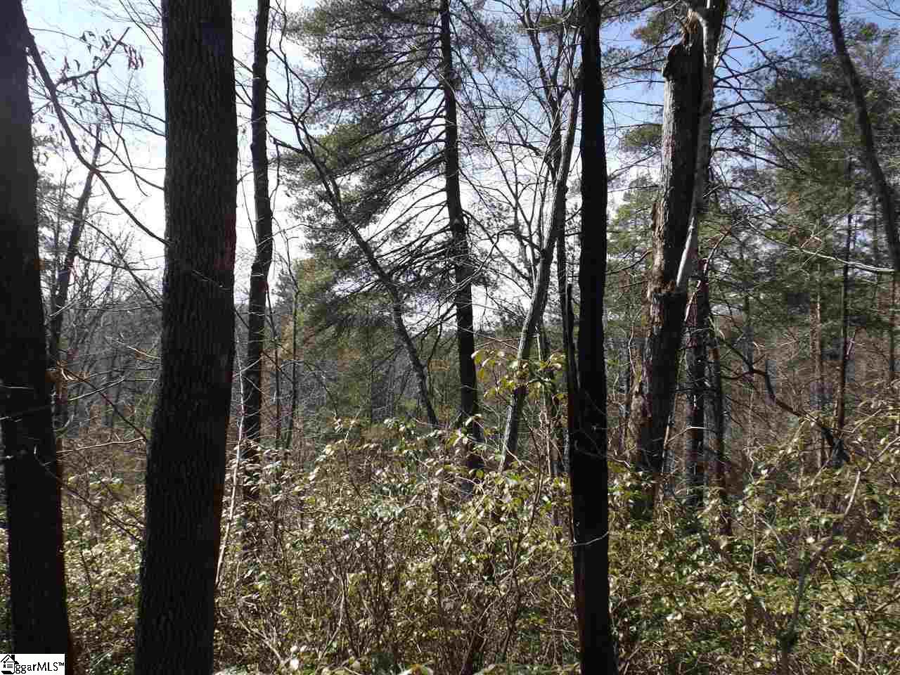 130 Fairway Woods Drive Pickens, SC 29671
