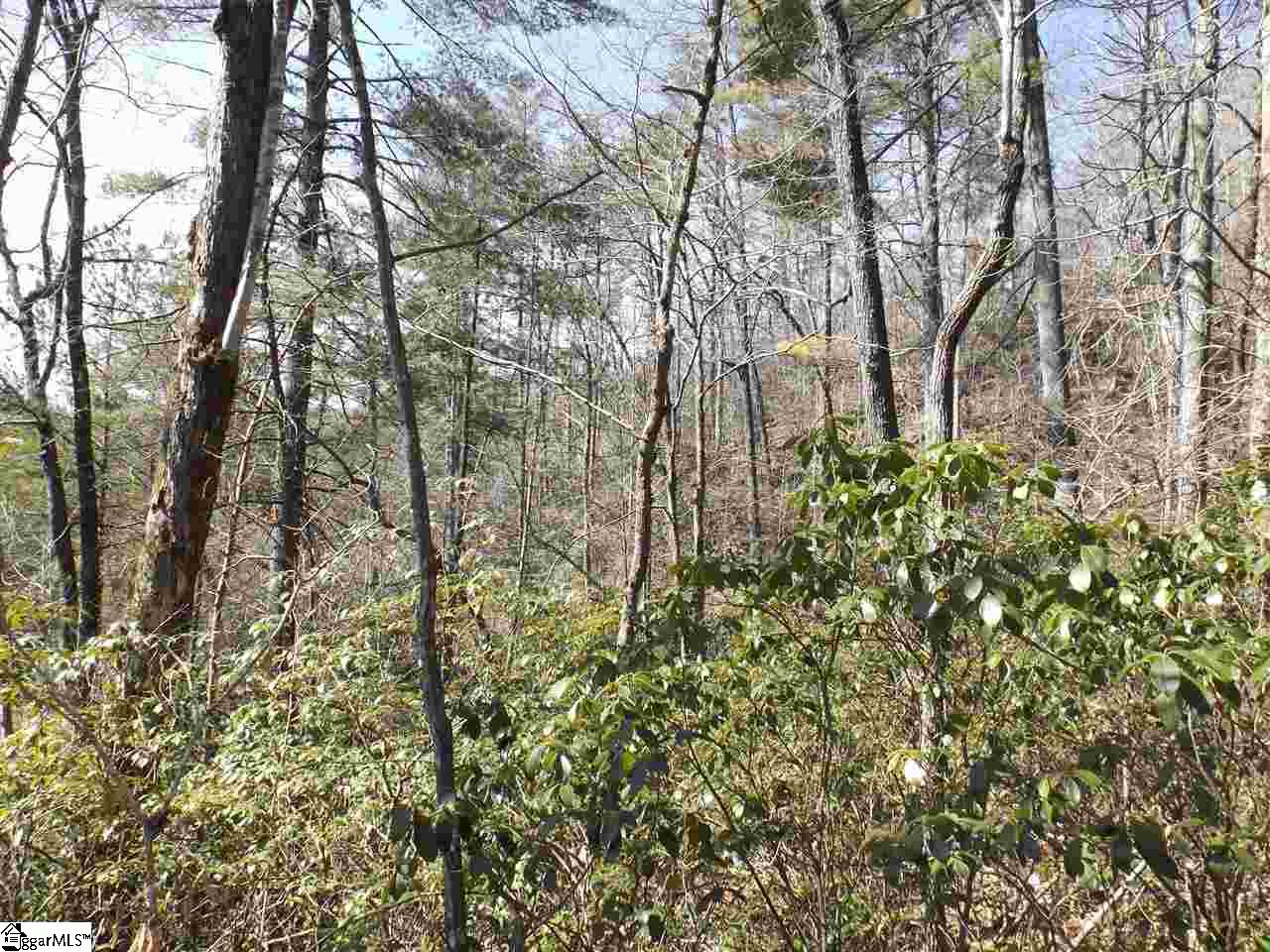 130 Fairway Woods Drive Pickens, SC 29671